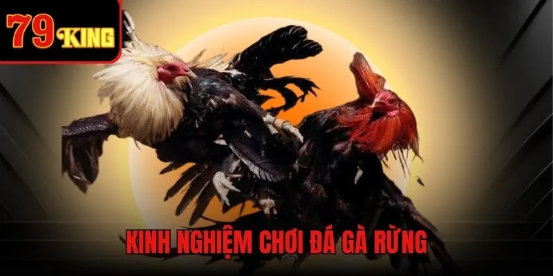 Một số bí quyết khi cược chọi kê